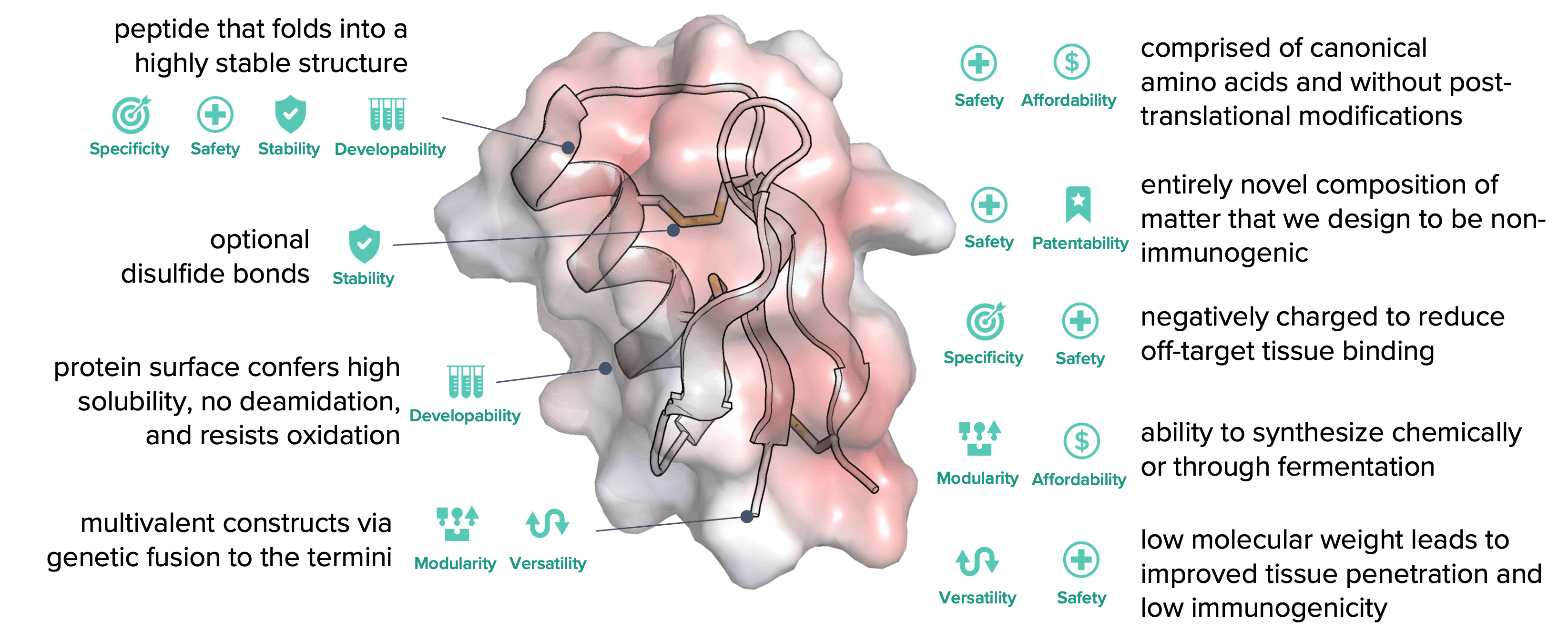 Miniproteins are an ideal therapeutic modality